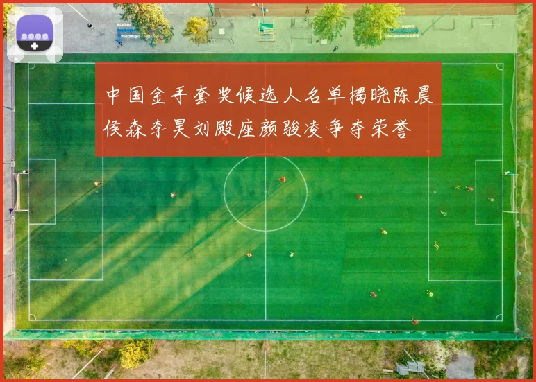 中国金手套奖候选人名单揭晓陈晨侯森李昊刘殿座颜骏凌争夺荣誉