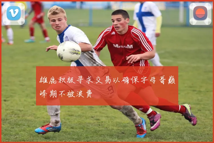 雄鹿积极寻求交易以确保字母哥巅峰期不被浪费