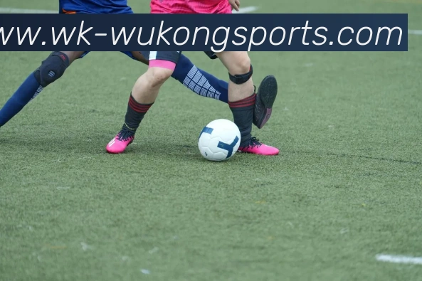 悟空体育发展历程